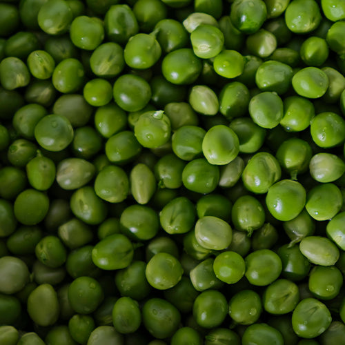 Vitamin B1 (as Thiamine Mononitrate)