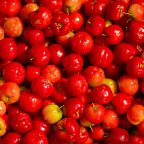 Vitamin C <br>(as Ascorbic Acid, from Acerola Cherry)