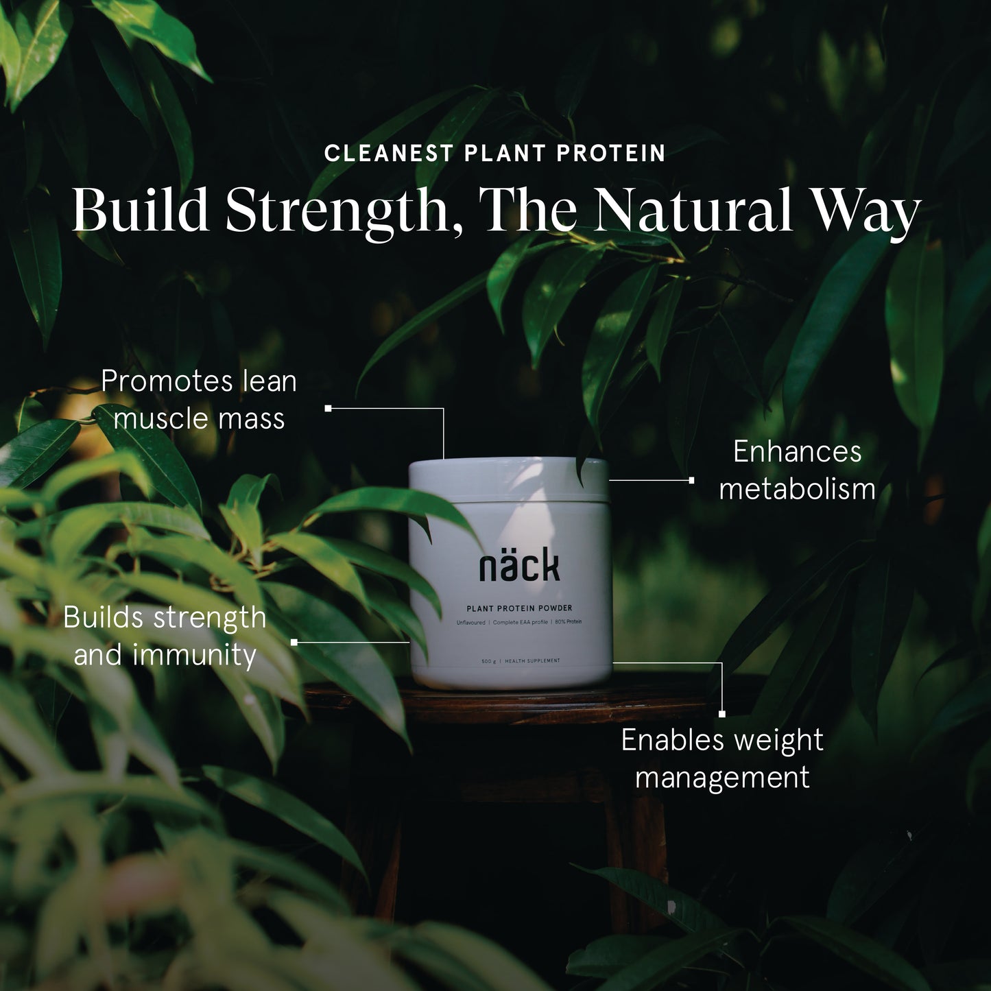 Plant Protein Powder 500g Unflavoured