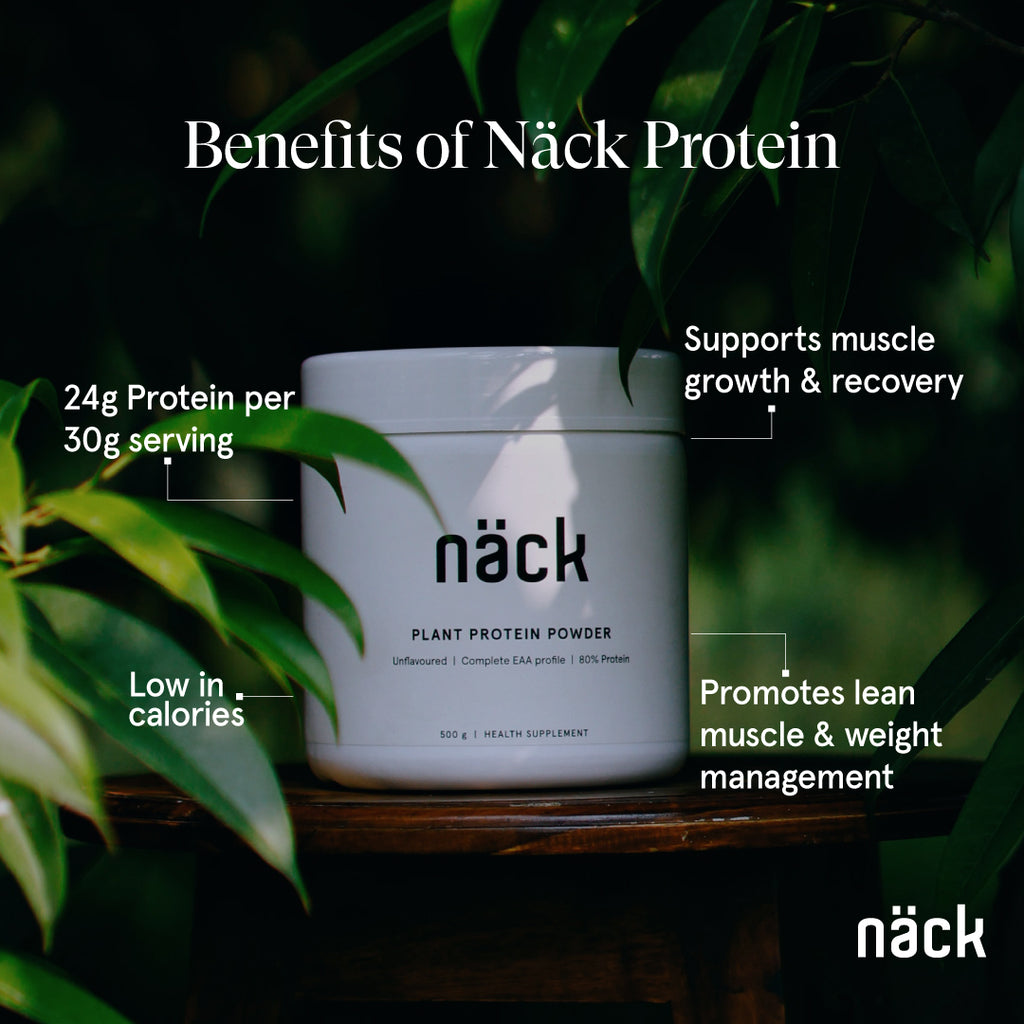 Plant Protein Powder 500g Unflavoured