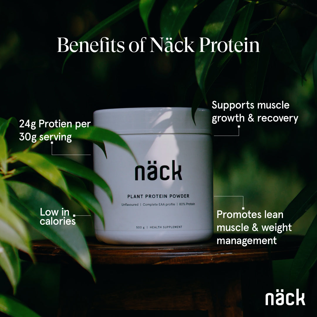 Plant Protein Powder 500g Unflavoured